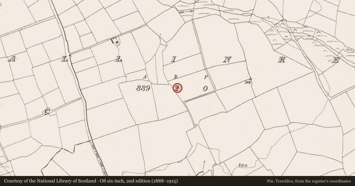 Ordnance Survey six-inch map, 2nd edition (1888–1915) covering the location of Fulacht fia, Ballinrea, County Cork, with a pin at the register's coordinates