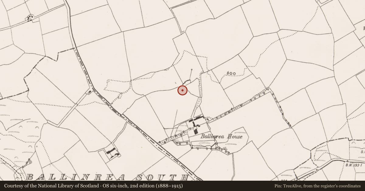 Ordnance Survey six-inch map, 2nd edition (1888–1915) covering the location of Burnt spread, Ballinrea, County Cork, with a pin at the register's coordinates
