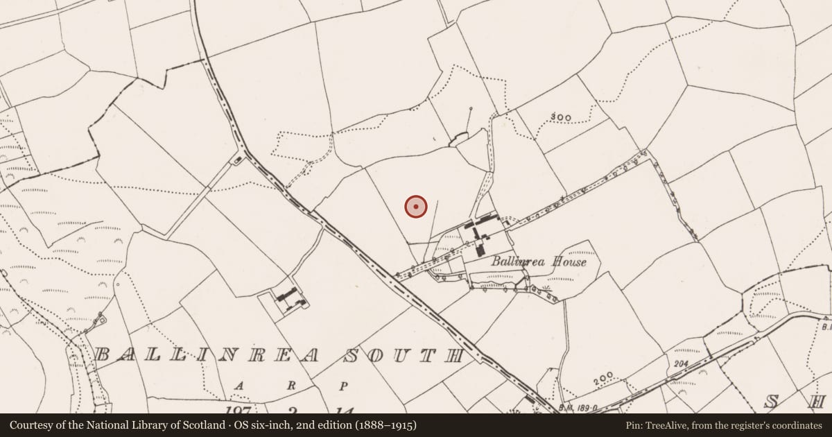 Ordnance Survey six-inch map, 2nd edition (1888–1915) covering the location of Fulacht fia, Ballinrea, County Cork, with a pin at the register's coordinates