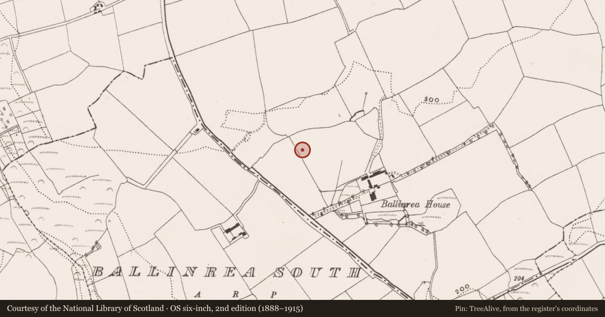 Ordnance Survey six-inch map, 2nd edition (1888–1915) covering the location of Fulacht fia, Ballinrea, County Cork, with a pin at the register's coordinates