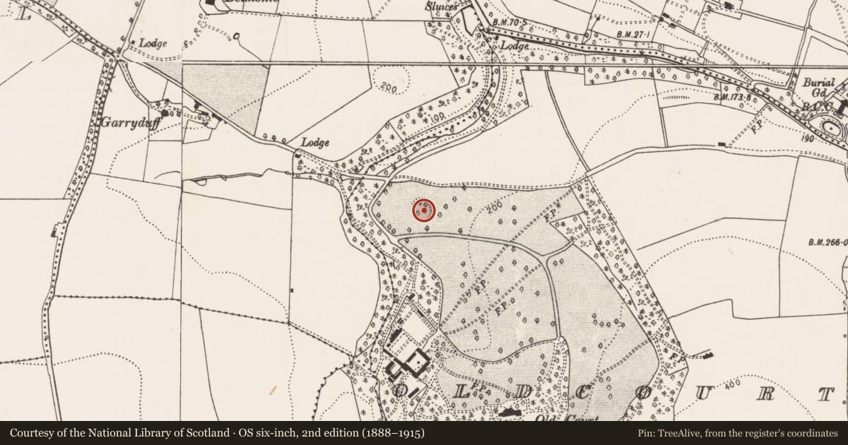 Ordnance Survey six-inch map, 2nd edition (1888–1915) covering the location of Ringfort - rath, Oldcourt, County Cork, with a pin at the register's coordinates