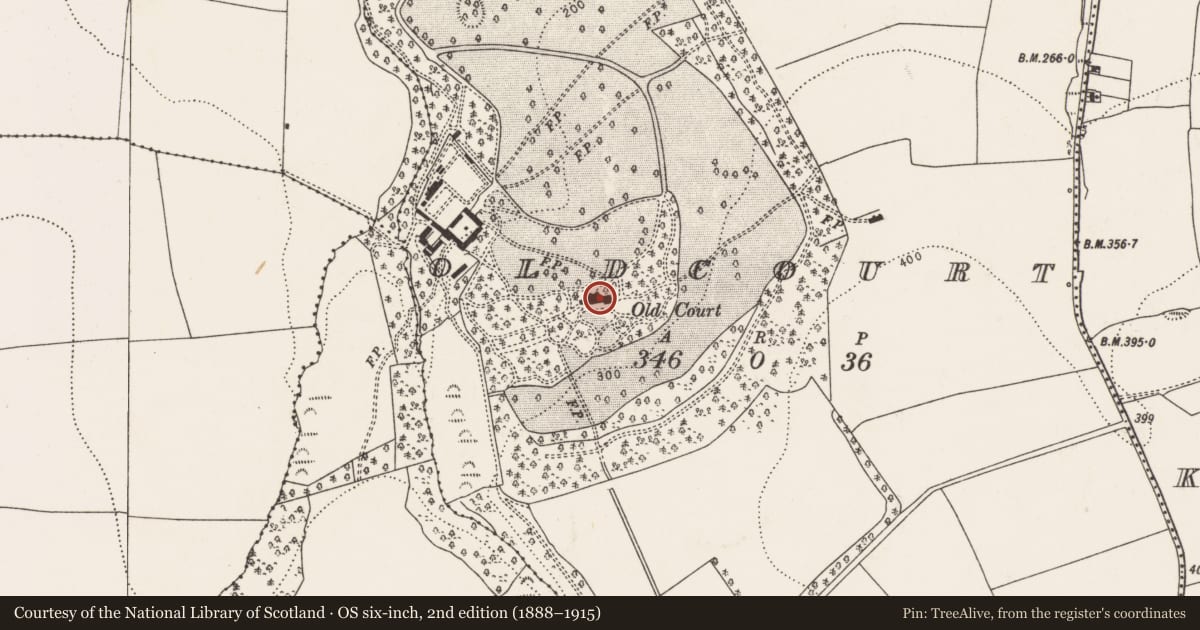 Ordnance Survey six-inch map, 2nd edition (1888–1915) covering the location of Country house, Oldcourt, County Cork, with a pin at the register's coordinates
