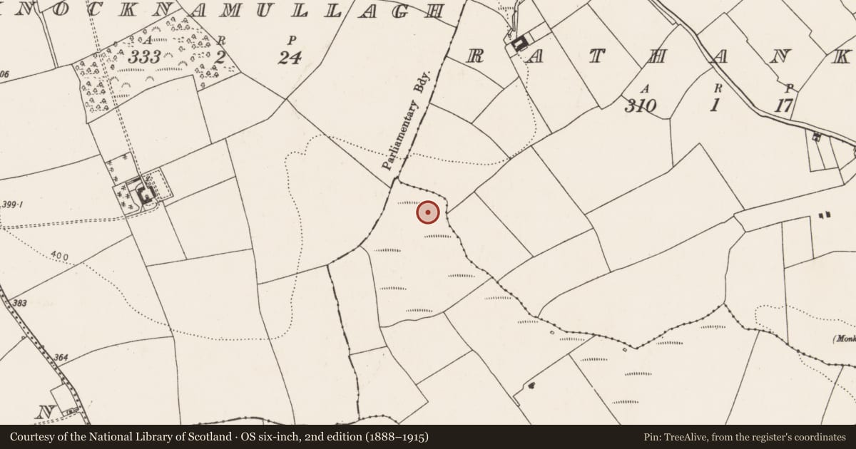 Ordnance Survey six-inch map, 2nd edition (1888–1915) covering the location of Fulacht fia, Parkgarriff, County Cork, with a pin at the register's coordinates