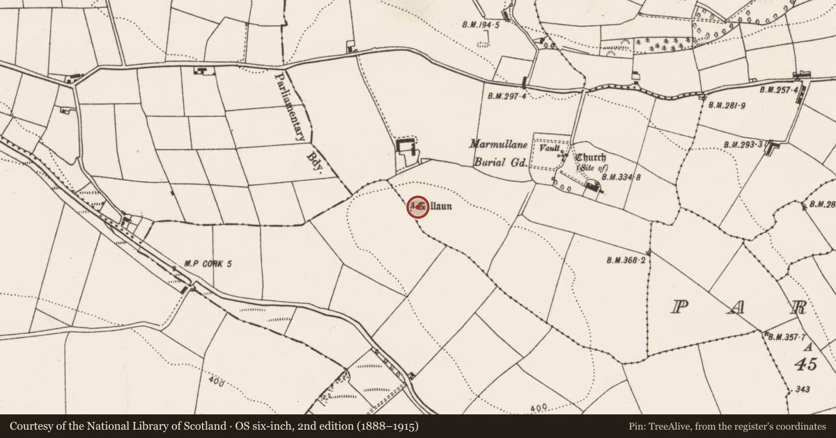 Ordnance Survey six-inch map, 2nd edition (1888–1915) covering the location of Standing stone, Ardmore, County Cork, with a pin at the register's coordinates