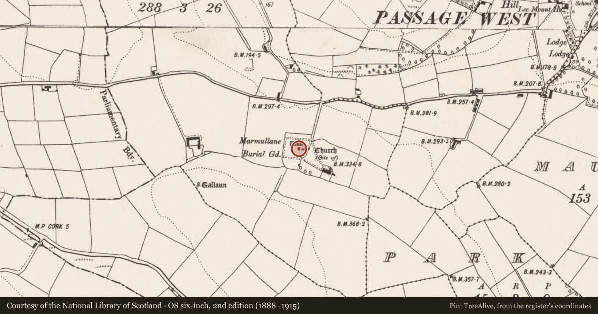 Ordnance Survey six-inch map, 2nd edition (1888–1915) covering the location of Graveyard, Ardmore, County Cork, with a pin at the register's coordinates