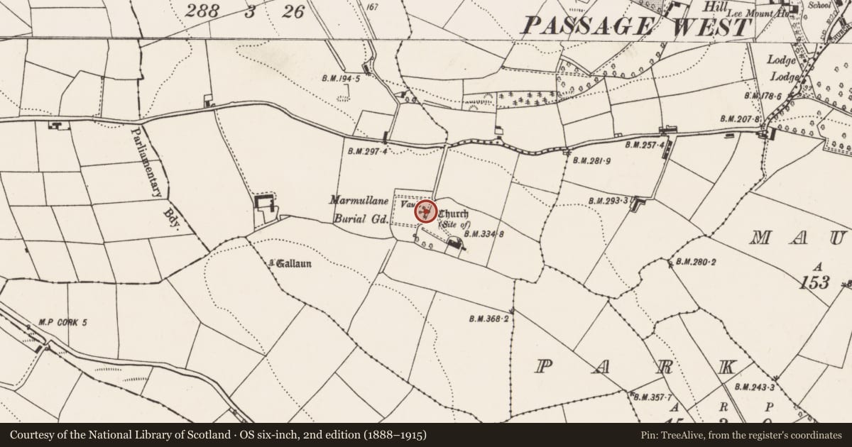 Ordnance Survey six-inch map, 2nd edition (1888–1915) covering the location of Church, Ardmore, County Cork, with a pin at the register's coordinates