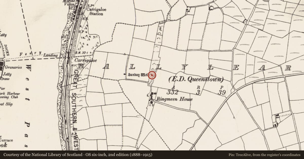 Ordnance Survey six-inch map, 2nd edition (1888–1915) covering the location of Ritual site - holy well, County Cork, with a pin at the register's coordinates