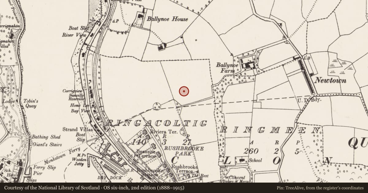 Ordnance Survey six-inch map, 2nd edition (1888–1915) covering the location of Ringfort - rath, Ringacoltig, County Cork, with a pin at the register's coordinates