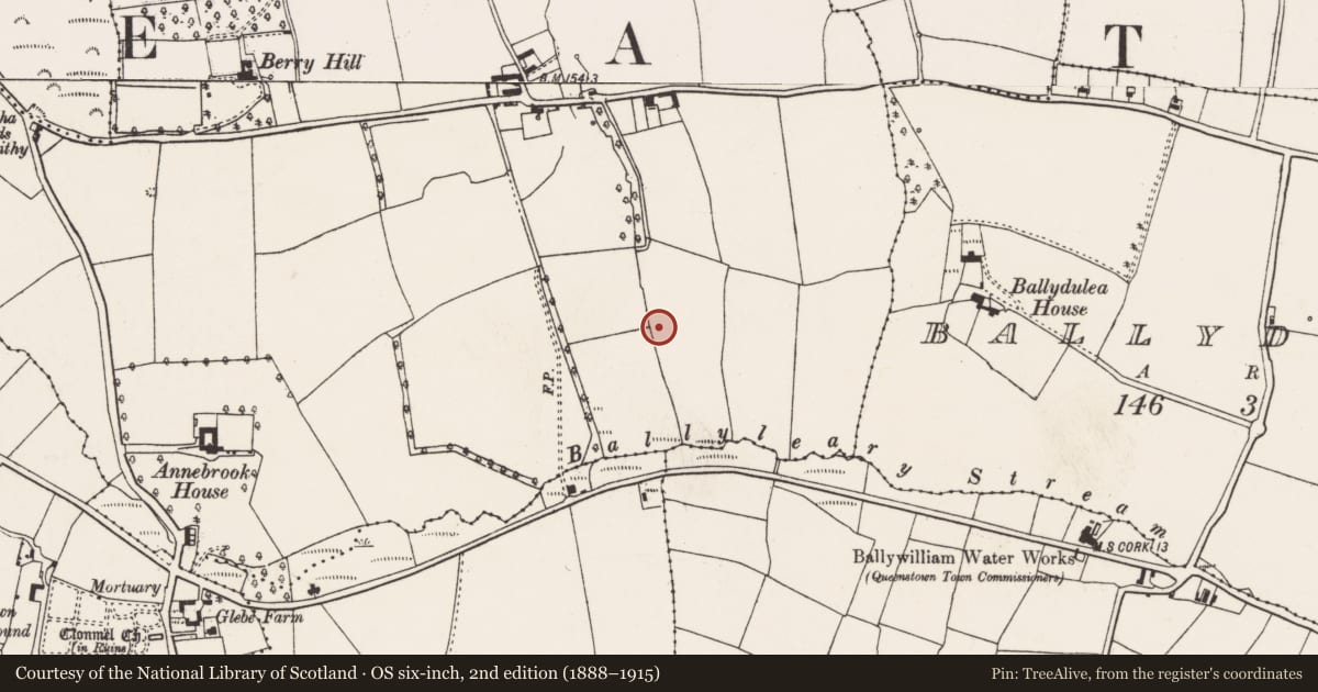 Ordnance Survey six-inch map, 2nd edition (1888–1915) covering the location of Fulacht fia, Ballynacrusha, County Cork, with a pin at the register's coordinates