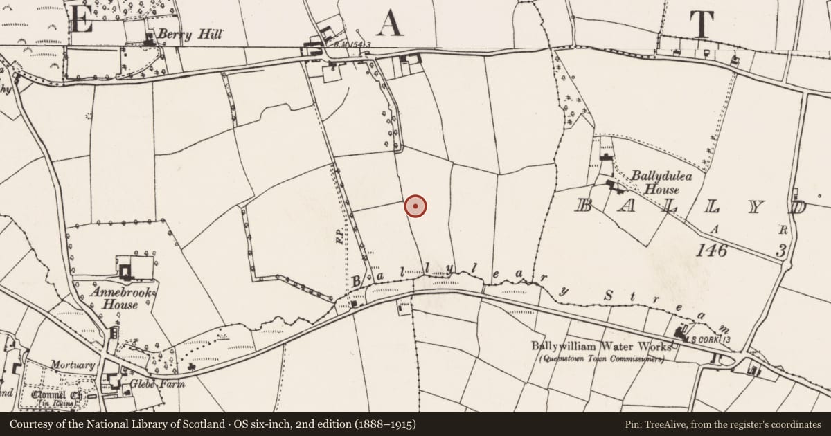 Ordnance Survey six-inch map, 2nd edition (1888–1915) covering the location of Fulacht fia, Ballynacrusha, County Cork, with a pin at the register's coordinates