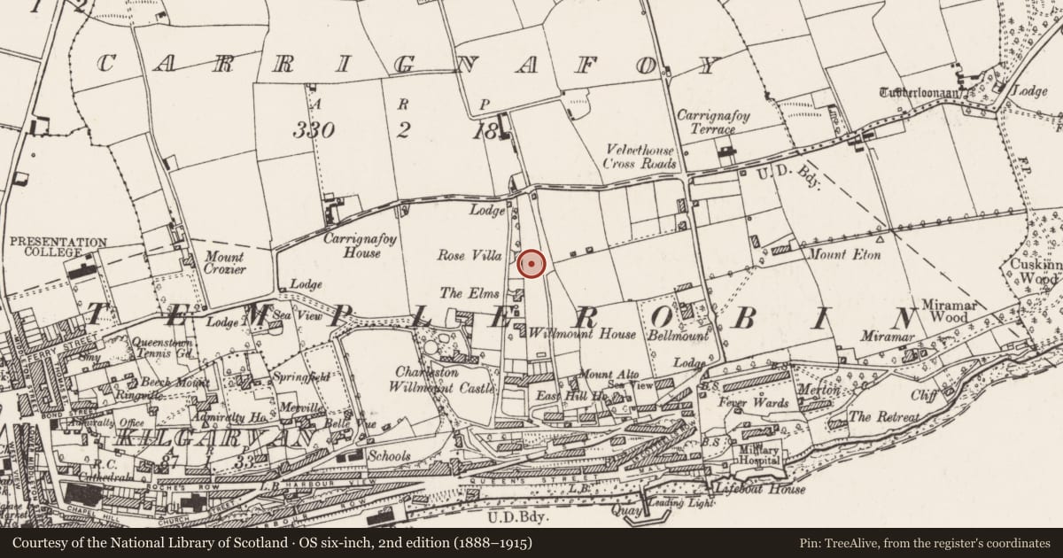 Ordnance Survey six-inch map, 2nd edition (1888–1915) covering the location of Ringfort - rath, Carrignafoy, County Cork, with a pin at the register's coordinates