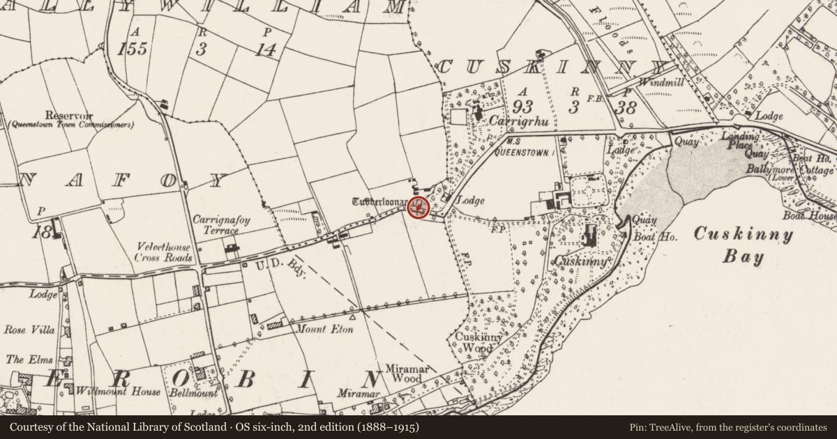 Ordnance Survey six-inch map, 2nd edition (1888–1915) covering the location of Ritual site - holy well, Ballywilliam, County Cork, with a pin at the register's coordinates