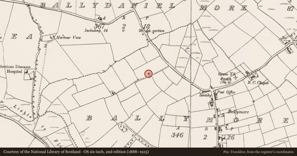 Ordnance Survey six-inch map, 2nd edition (1888–1915) covering the location of Ringfort - rath, Ballymore, County Cork, with a pin at the register's coordinates
