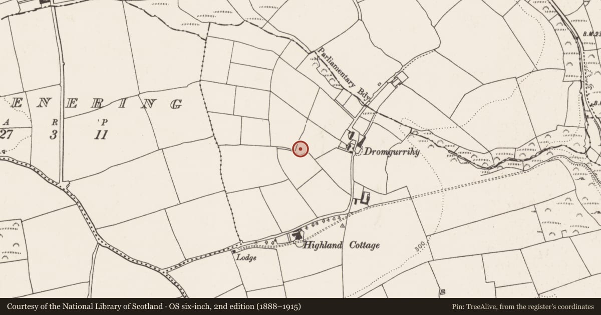 Ordnance Survey six-inch map, 2nd edition (1888–1915) covering the location of Ringfort - rath, Raffeen, County Cork, with a pin at the register's coordinates