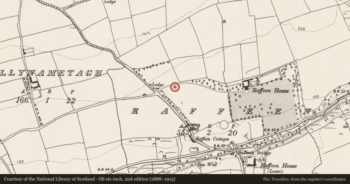 Ordnance Survey six-inch map, 2nd edition (1888–1915) covering the location of Ringfort - rath, Raffeen, County Cork, with a pin at the register's coordinates