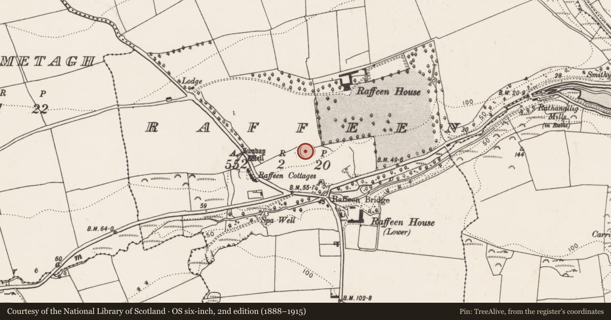 Ordnance Survey six-inch map, 2nd edition (1888–1915) covering the location of Ringfort - rath, Raffeen, County Cork, with a pin at the register's coordinates