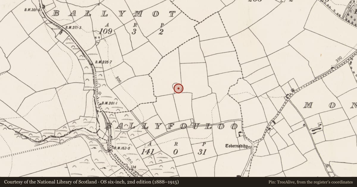 Ordnance Survey six-inch map, 2nd edition (1888–1915) covering the location of Ringfort - rath, Ballyfouloo, County Cork, with a pin at the register's coordinates