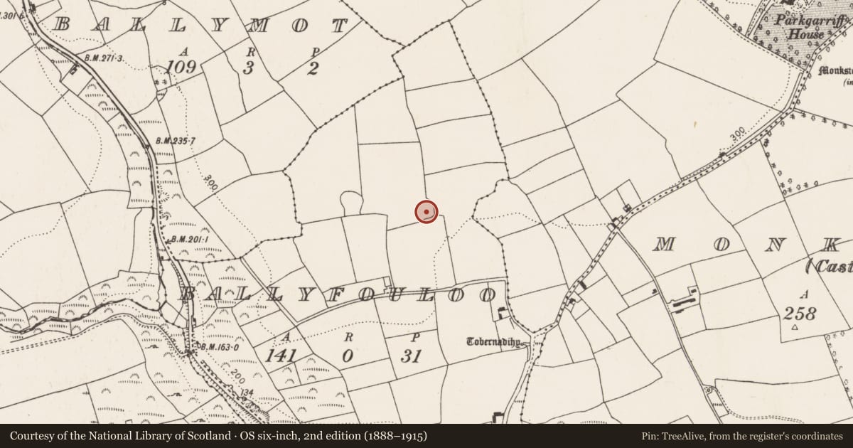 Ordnance Survey six-inch map, 2nd edition (1888–1915) covering the location of Ringfort - rath, Ballyfouloo, County Cork, with a pin at the register's coordinates