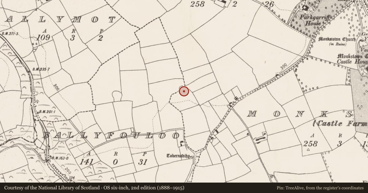 Ordnance Survey six-inch map, 2nd edition (1888–1915) covering the location of Ringfort - rath, Parkgarriff, County Cork, with a pin at the register's coordinates