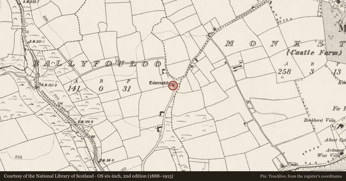 Ordnance Survey six-inch map, 2nd edition (1888–1915) covering the location of Ritual site - holy well, Ballyfouloo, County Cork, with a pin at the register's coordinates