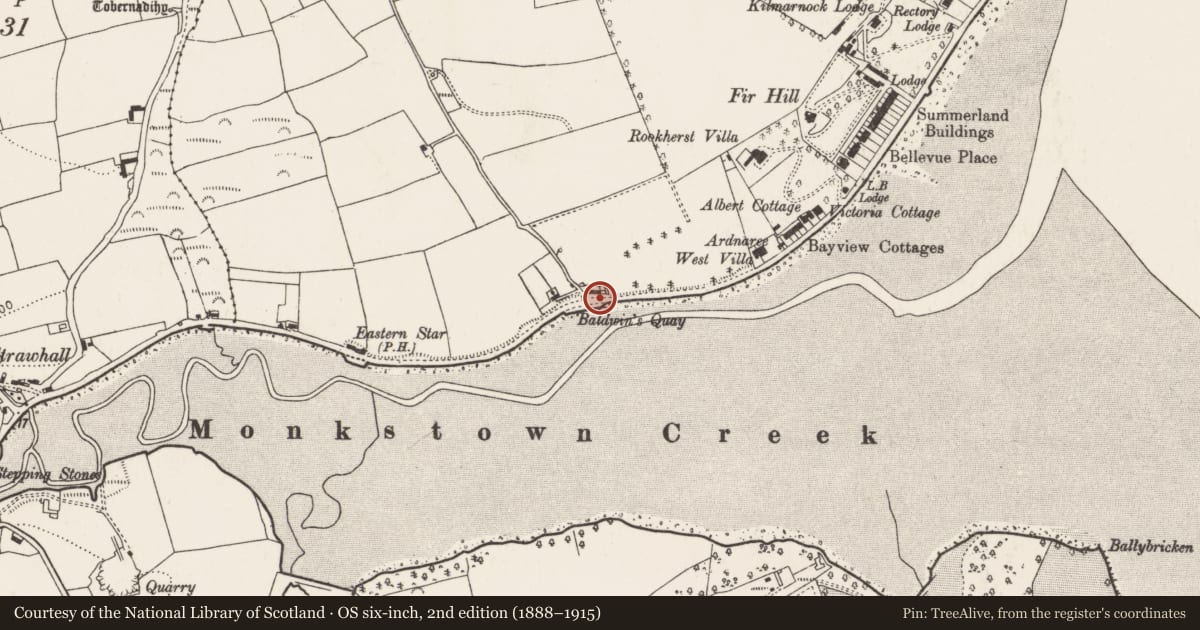 Ordnance Survey six-inch map, 2nd edition (1888–1915) covering the location of Kiln - lime, Monkstown (Castle Farm), County Cork, with a pin at the register's coordinates