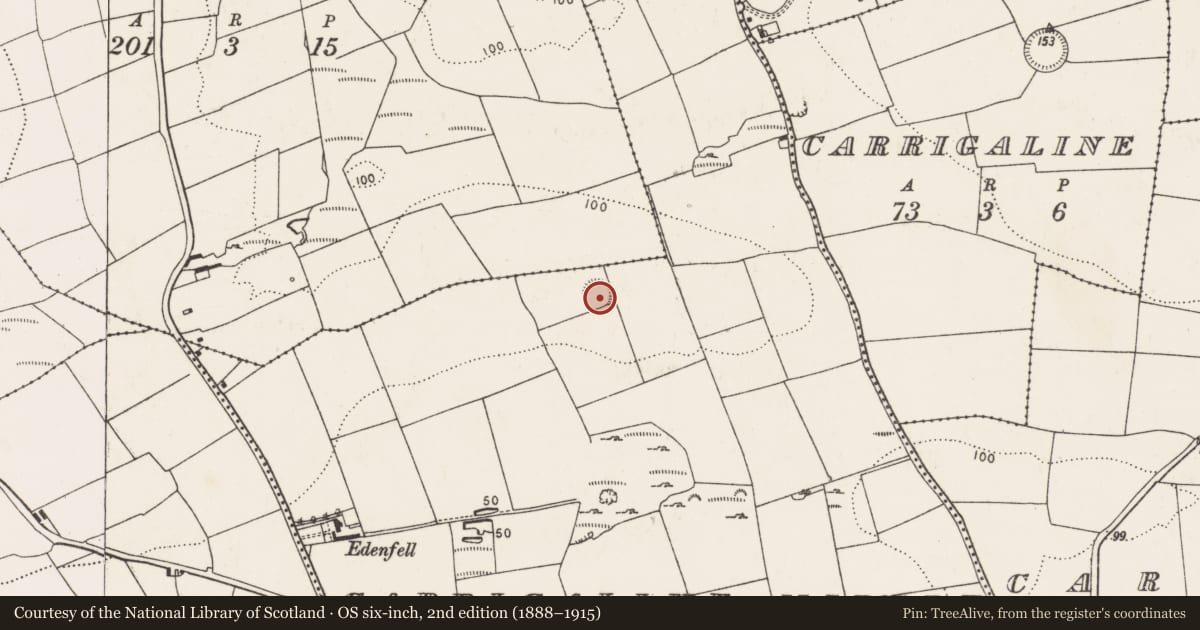 Ordnance Survey six-inch map, 2nd edition (1888–1915) covering the location of Ringfort - rath, Carrigaline Middle, County Cork, with a pin at the register's coordinates
