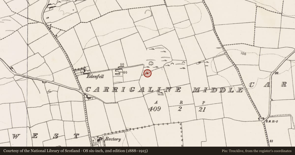 Ordnance Survey six-inch map, 2nd edition (1888–1915) covering the location of Kiln - lime, Carrigaline Middle, County Cork, with a pin at the register's coordinates
