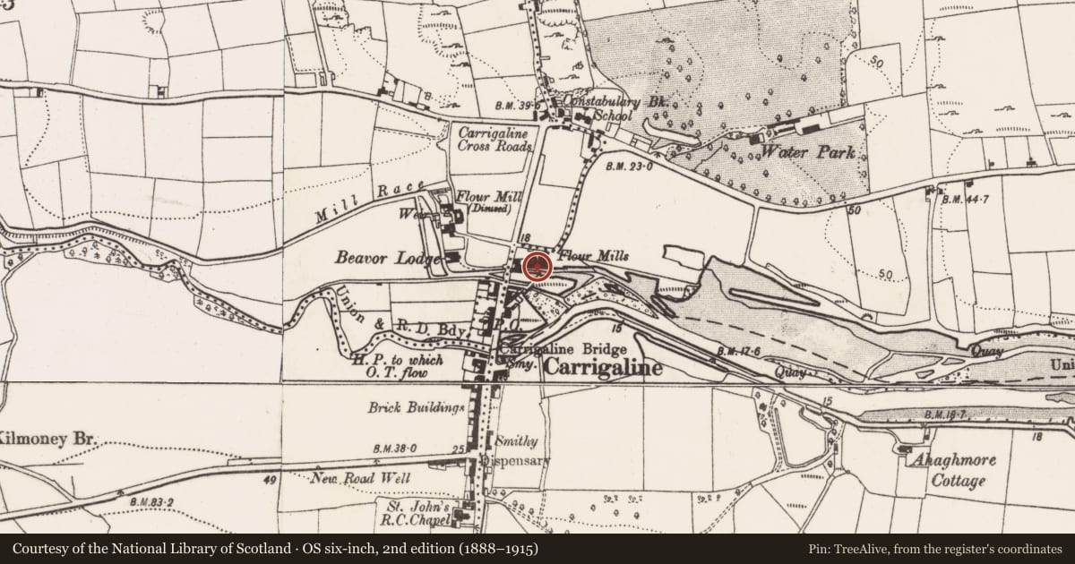 Ordnance Survey six-inch map, 2nd edition (1888–1915) covering the location of Mill - unclassified, Carrigaline Middle, County Cork, with a pin at the register's coordinates