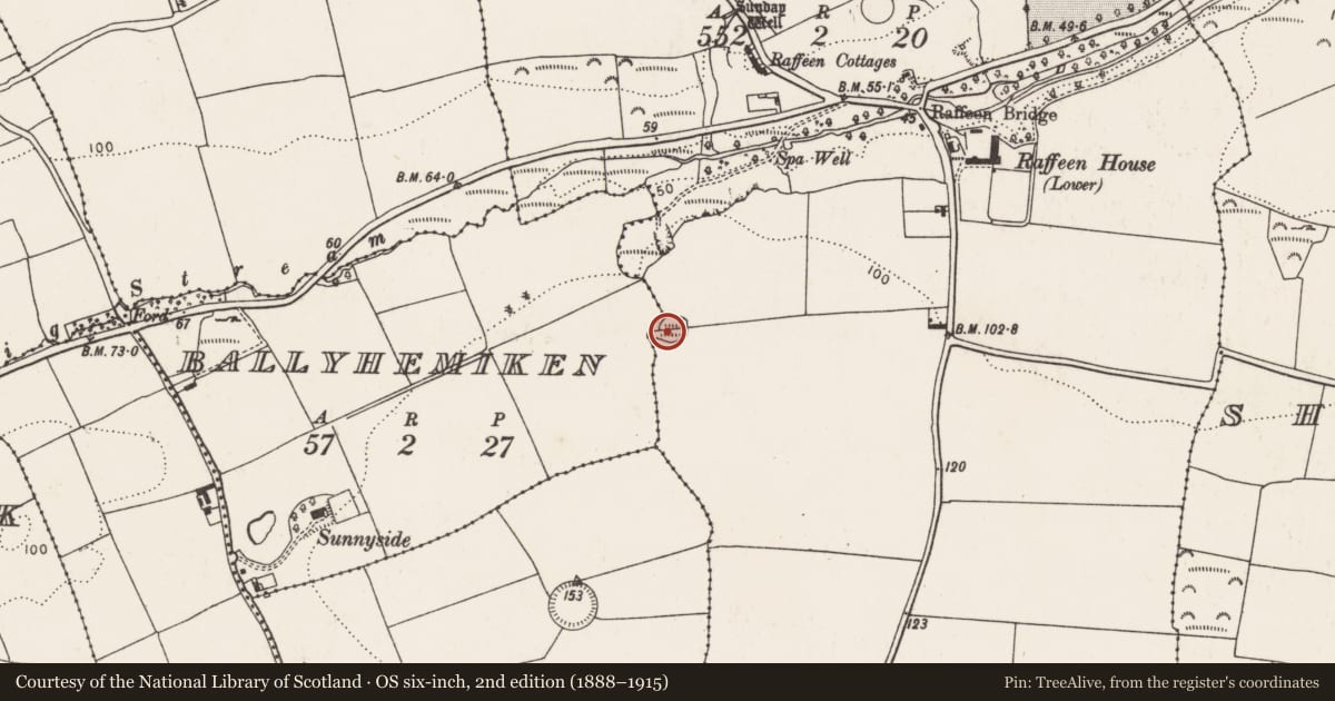 Ordnance Survey six-inch map, 2nd edition (1888–1915) covering the location of Ringfort - rath, Raffeen, County Cork, with a pin at the register's coordinates
