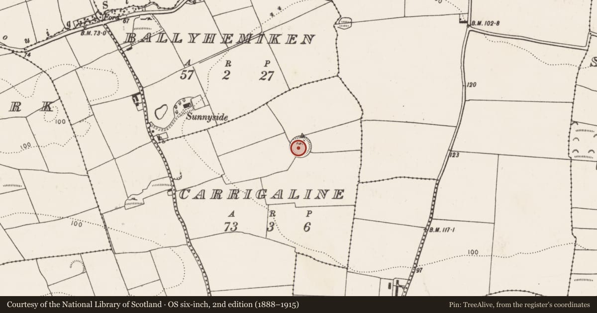 Ordnance Survey six-inch map, 2nd edition (1888–1915) covering the location of Ringfort - rath, Carrigaline (Kerrycurrihy By., Liscleary Par.), County Cork, with a pin at the register's coordinates