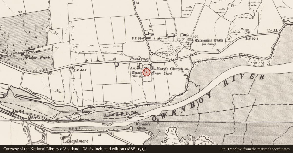 Ordnance Survey six-inch map, 2nd edition (1888–1915) covering the location of Graveyard, Carrigaline Middle, County Cork, with a pin at the register's coordinates