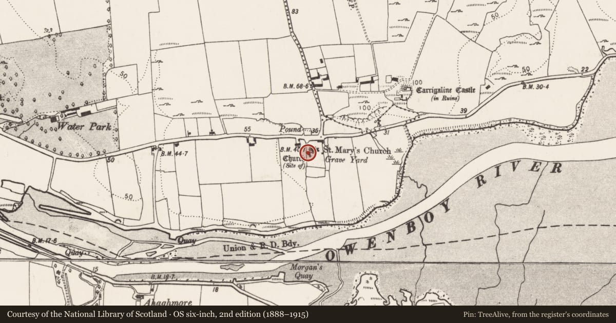 Ordnance Survey six-inch map, 2nd edition (1888–1915) covering the location of Church, Carrigaline Middle, County Cork, with a pin at the register's coordinates