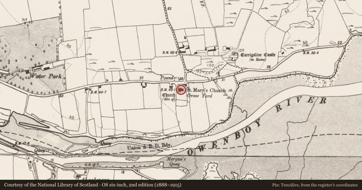 Ordnance Survey six-inch map, 2nd edition (1888–1915) covering the location of Church, Carrigaline Middle, County Cork, with a pin at the register's coordinates