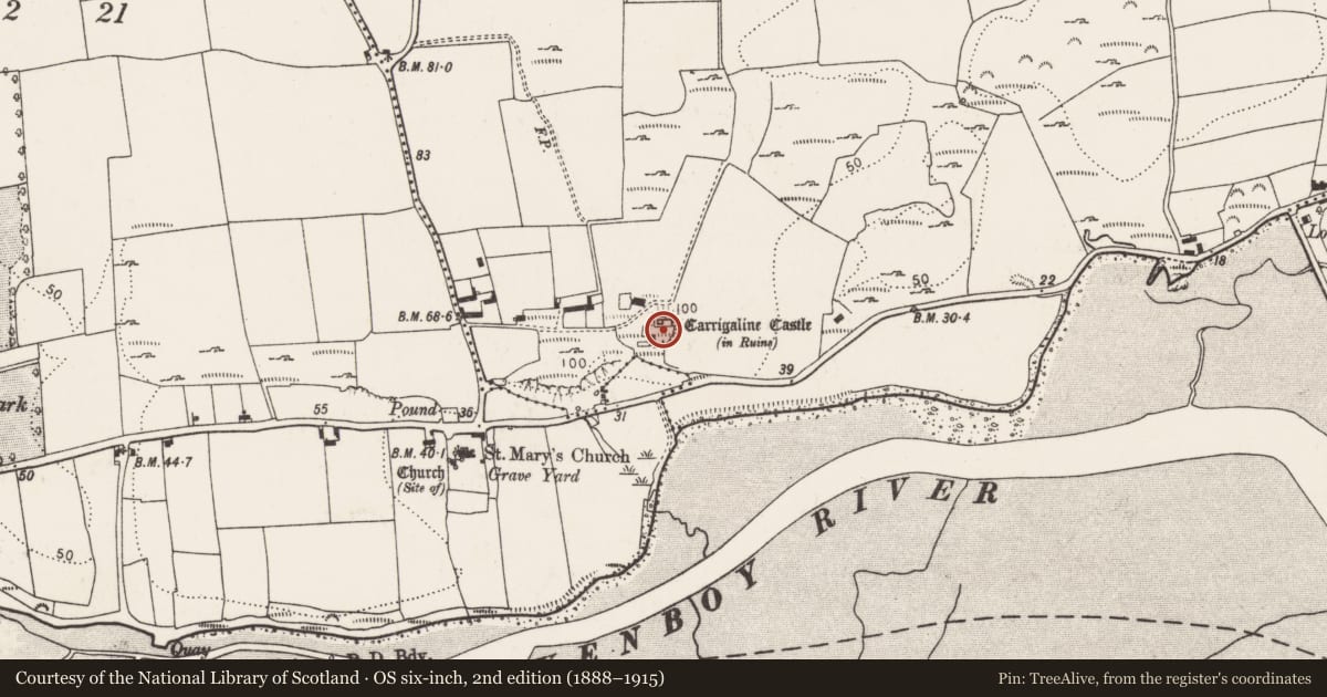 Ordnance Survey six-inch map, 2nd edition (1888–1915) covering the location of Castle - Anglo-Norman masonry castle, Carrigaline East, County Cork, with a pin at the register's coordinates
