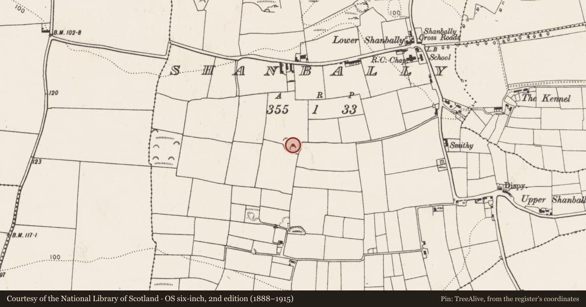 Ordnance Survey six-inch map, 2nd edition (1888–1915) covering the location of Ringfort - rath, Shanbally, County Cork, with a pin at the register's coordinates