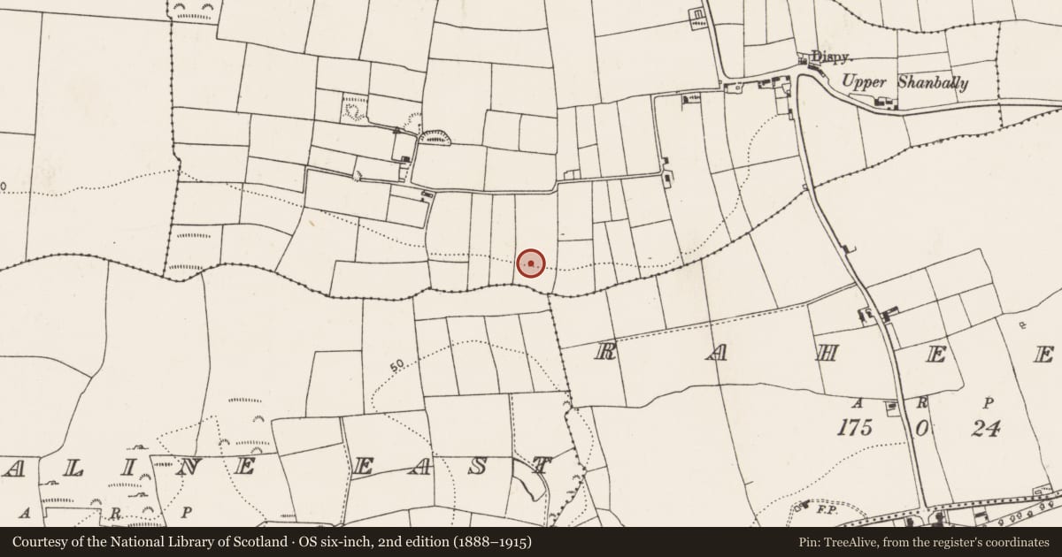 Ordnance Survey six-inch map, 2nd edition (1888–1915) covering the location of Enclosure, Shanbally, County Cork, with a pin at the register's coordinates