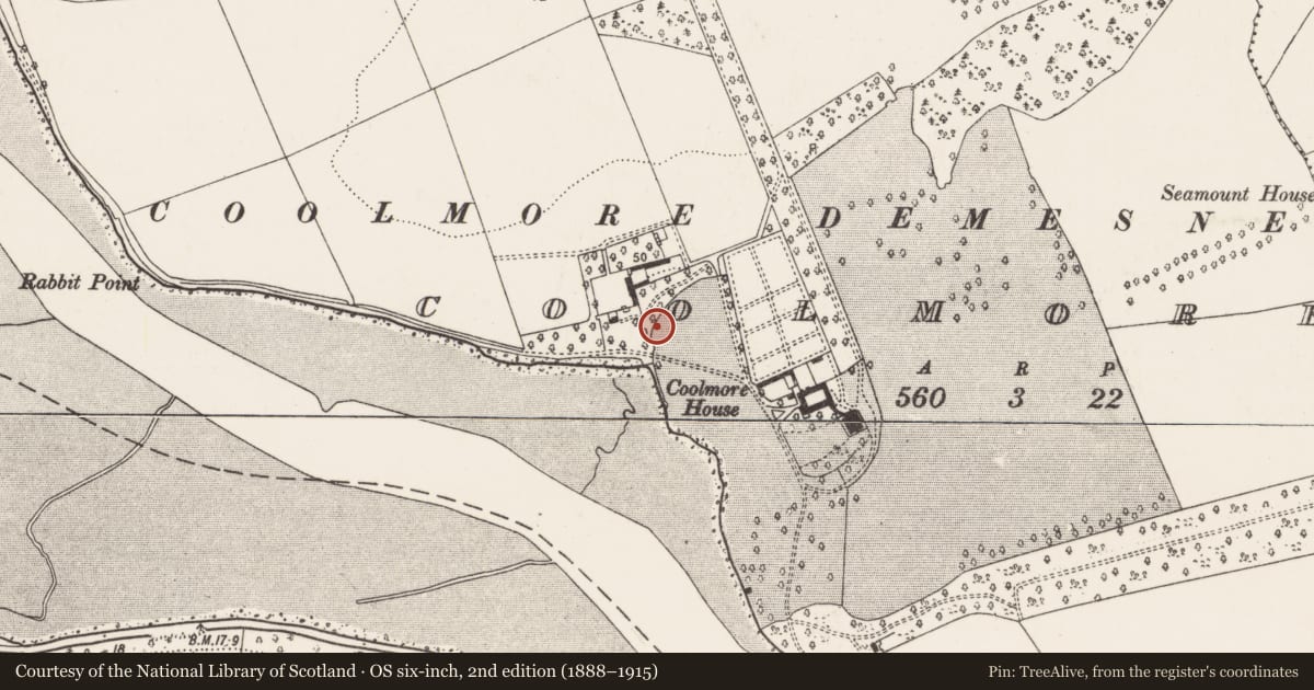 Ordnance Survey six-inch map, 2nd edition (1888–1915) covering the location of Icehouse, Coolmore, County Cork, with a pin at the register's coordinates