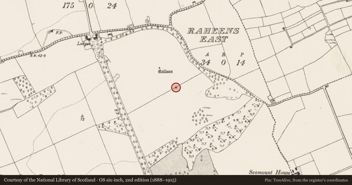 Ordnance Survey six-inch map, 2nd edition (1888–1915) covering the location of Souterrain, Coolmore, County Cork, with a pin at the register's coordinates