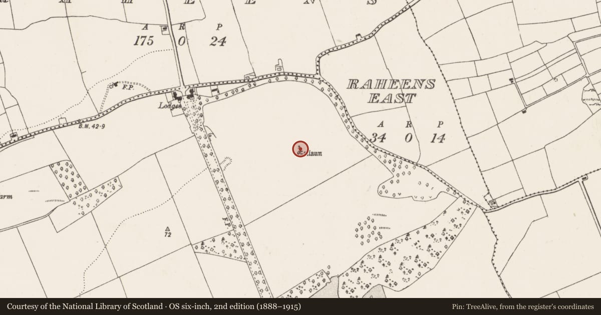 Ordnance Survey six-inch map, 2nd edition (1888–1915) covering the location of Standing stone, Coolmore, County Cork, with a pin at the register's coordinates