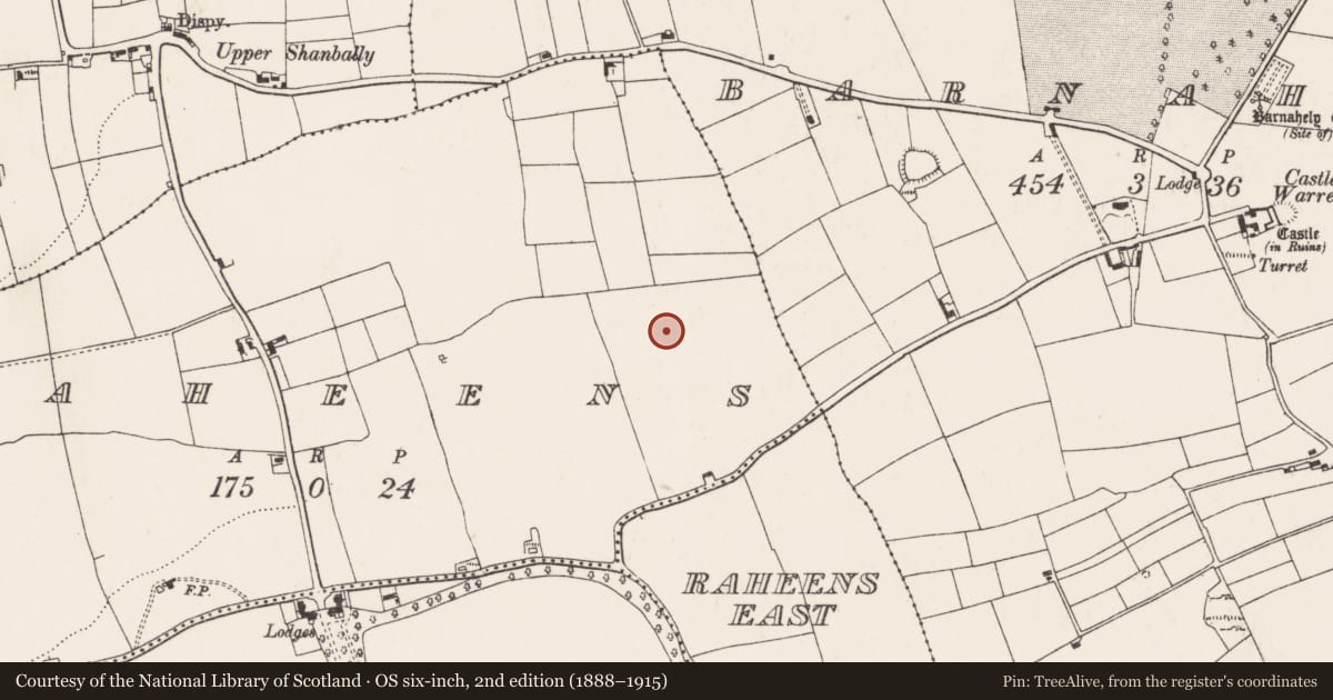 Ordnance Survey six-inch map, 2nd edition (1888–1915) covering the location of Ringfort - rath, Raheens, County Cork, with a pin at the register's coordinates