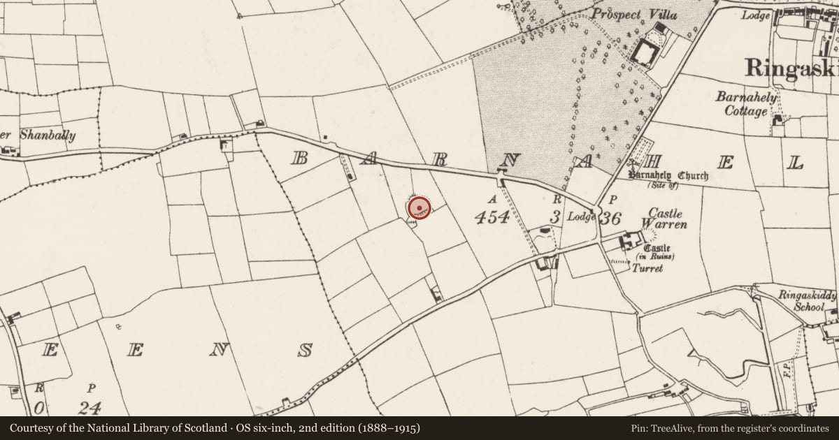 Ordnance Survey six-inch map, 2nd edition (1888–1915) covering the location of Ringfort - rath, Barnahely, County Cork, with a pin at the register's coordinates