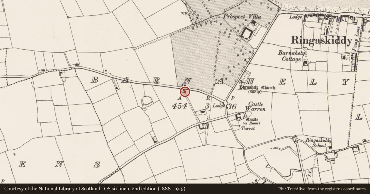 Ordnance Survey six-inch map, 2nd edition (1888–1915) covering the location of Gate lodge, Barnahely, County Cork, with a pin at the register's coordinates