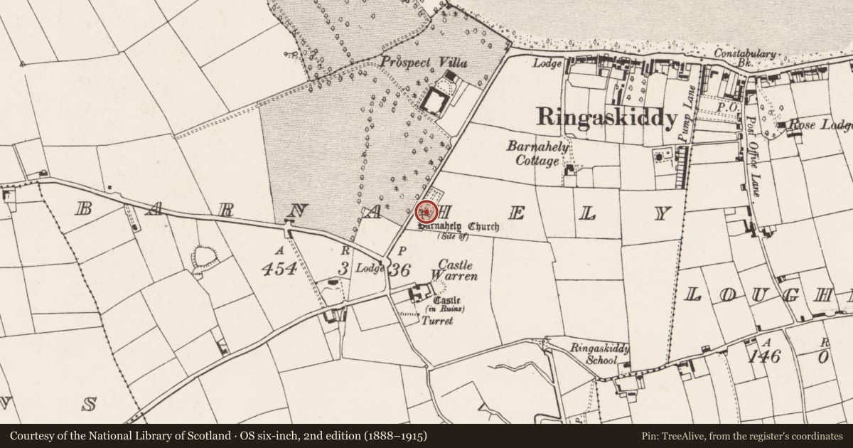 Ordnance Survey six-inch map, 2nd edition (1888–1915) covering the location of Graveyard, Barnahely, County Cork, with a pin at the register's coordinates