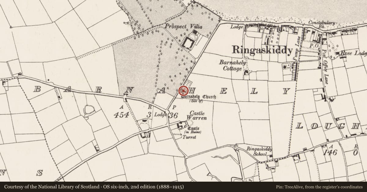 Ordnance Survey six-inch map, 2nd edition (1888–1915) covering the location of Church, Barnahely, County Cork, with a pin at the register's coordinates
