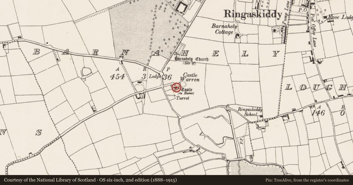 Ordnance Survey six-inch map, 2nd edition (1888–1915) covering the location of Castle - tower house, Barnahely, County Cork, with a pin at the register's coordinates