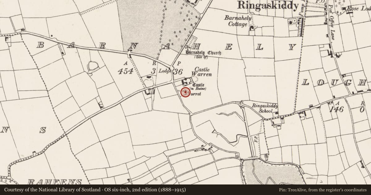 Ordnance Survey six-inch map, 2nd edition (1888–1915) covering the location of Designed landscape - belvedere, Barnahely, County Cork, with a pin at the register's coordinates