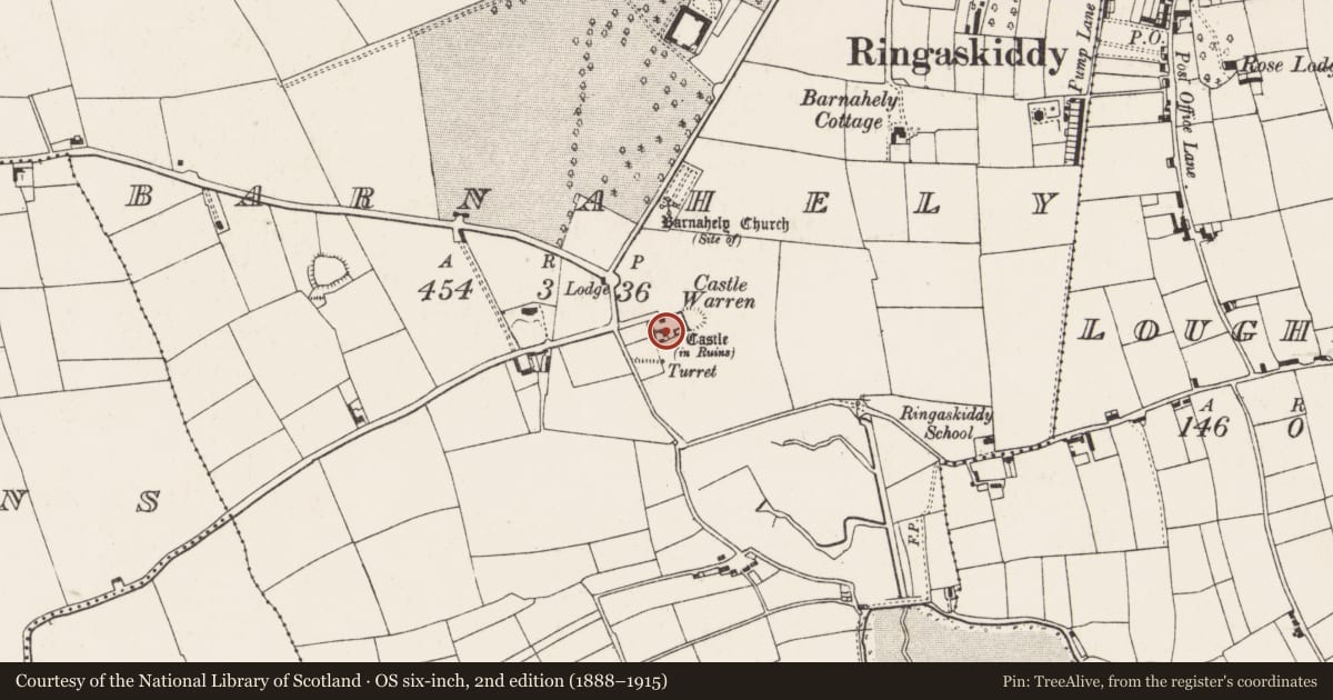 Ordnance Survey six-inch map, 2nd edition (1888–1915) covering the location of Sheela-na-gig, Barnahely, County Cork, with a pin at the register's coordinates