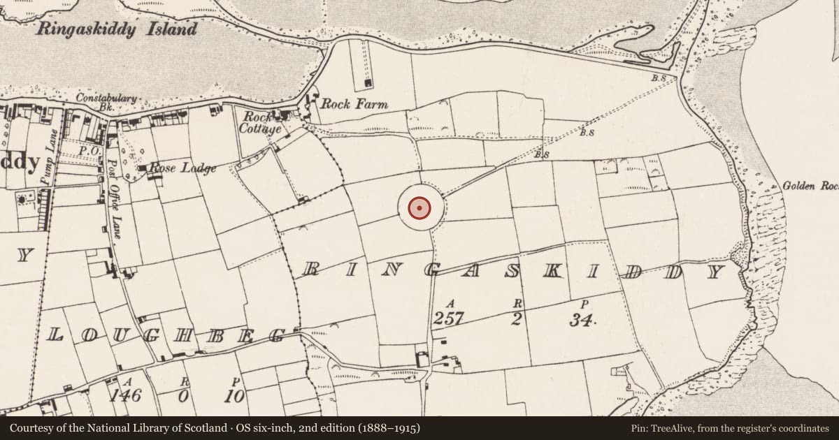 Ordnance Survey six-inch map, 2nd edition (1888–1915) covering the location of Martello tower, Ringaskiddy, County Cork, with a pin at the register's coordinates