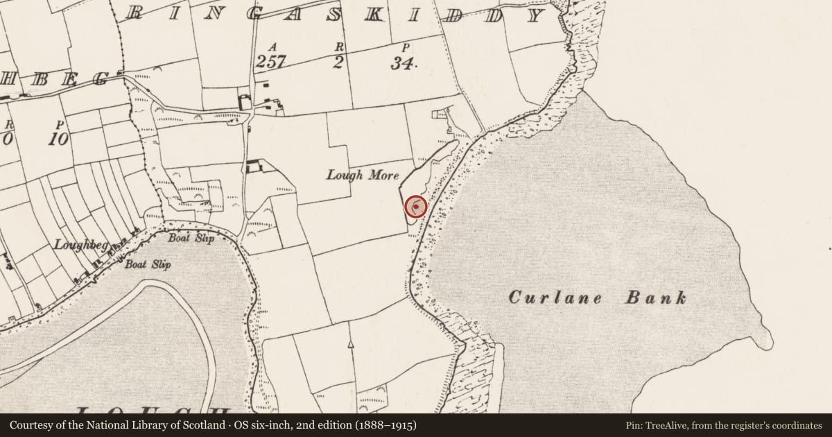 Ordnance Survey six-inch map, 2nd edition (1888–1915) covering the location of Midden, Ringaskiddy, County Cork, with a pin at the register's coordinates