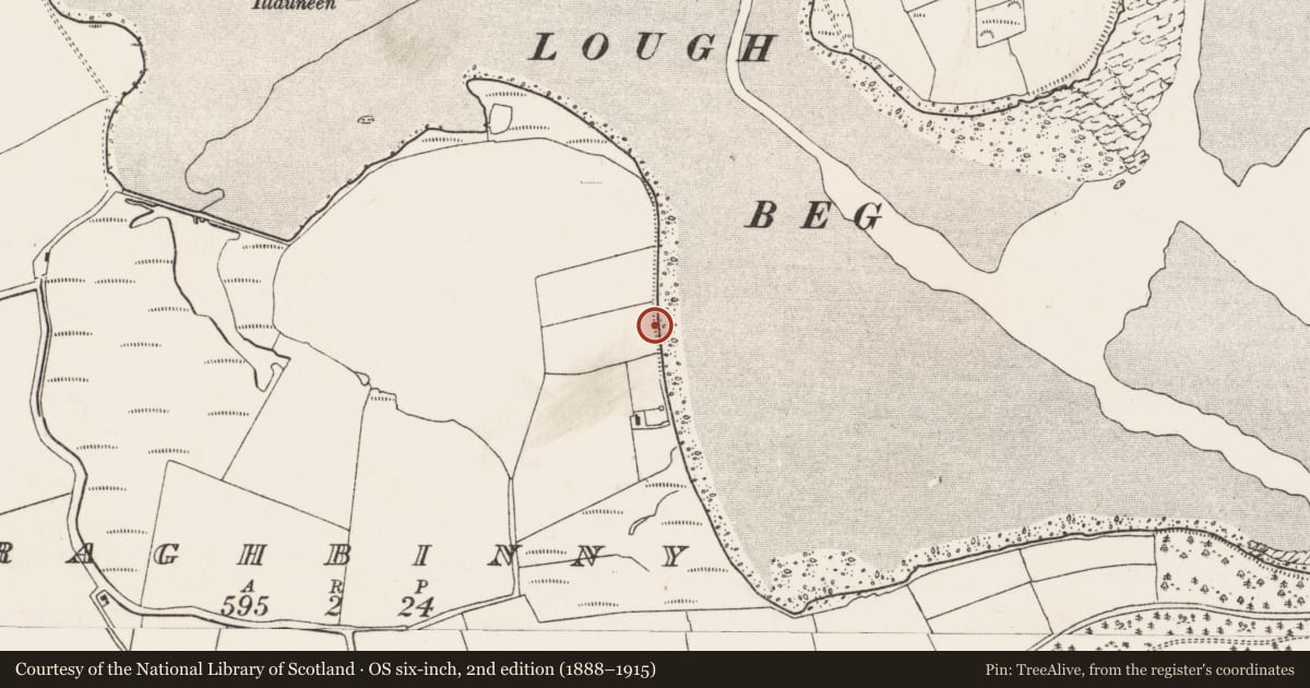 Ordnance Survey six-inch map, 2nd edition (1888–1915) covering the location of Midden, Curraghbinny, County Cork, with a pin at the register's coordinates